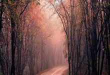 1-5惨败印尼球迷：想念申台龙！托希尔刚愎自用，彻底的灾难.