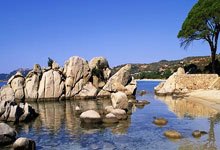 j9九游会：[欧冠]门将压哨头球破门 拉齐奥战平马竞.